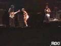 Red Hot Chili Peppers Amsterjam ROO TV