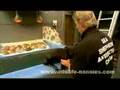FRANCOIS HUGO SEALS WILDLIFE NANNIES IN SOUTH AFRICA HOUTBAY 