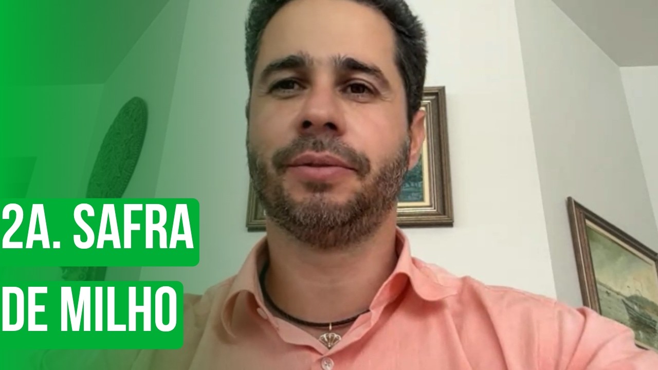 2a. Safra de Milho