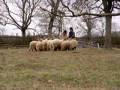 bb_bekebiro_terel_2008_11_22.wmv