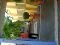 União Handebol - Campinas .role no alojamento ;D