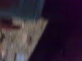 Search Video