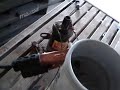 Coil to sparkplug jump
