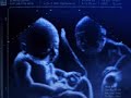 Twins_Baby_Argue