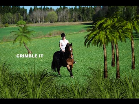 Fix for iTunes not seeing your Apple iPod, iPhone or iPad Devices in