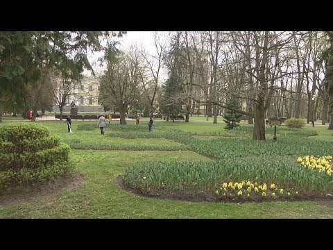 Субботник в гомельском парке видео