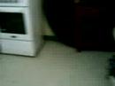 cooking tym
