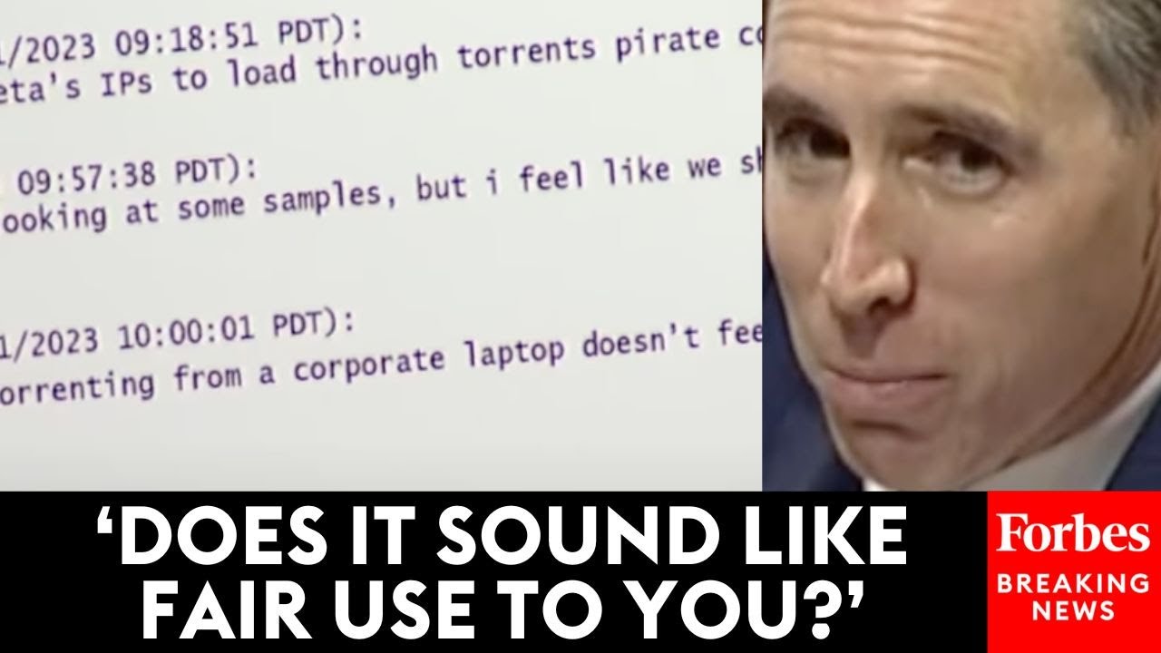 WATCH: Josh Hawley Pulls Up Meta Employee Chat Logs In Front Of Congress Showing 'Pirating' Scheme