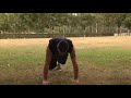 Circuit Cardio Training # 01 Circuit Cardio Training # 01