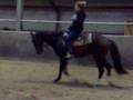 videos de Willeke & Whisper 3