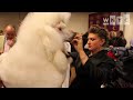 Westminster Kennel Club Dog Show 2012