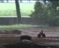 Ezilla ATV vs Inferno Sports Buggy