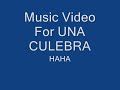 una culebra