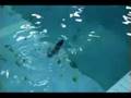 超ミニクジラ型ロボット