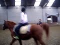 1e paardrijles Isabella bij manege Alblasserdam 1e paardrijles Isabella bij manege Alblasserdam