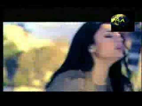 sexy videos of haifa wehbe