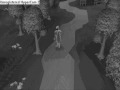 videos de Short RSMV Pinball Map