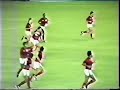 Brasileiro 1982 - Flamengo 2x1 Santos - Melhores momentos Brasileiro 1982 - Flamengo 2x1 Santos - Melhores momentos