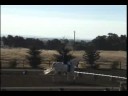 Athena++// at the 2007 Reg 3 Arabian Sport Horse Champs