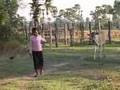 UNICEF: Child-friendly schools give Cambodian children a...