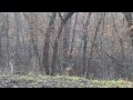 Spike Buck