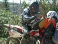 Drim Tim maial Romagna