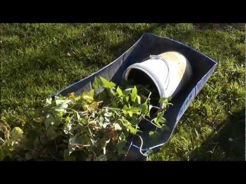 how to grow nz kumara