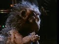 Meet The Feebles - One Leg Missin\ Meet The Feebles - One Leg Missin\