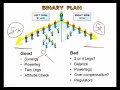 Network Marketing Pay Plans: 6b Binary pt 2