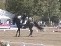 Ravel & Peters GP.2 2008