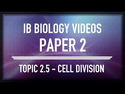 how to study for ib biology sl exam
