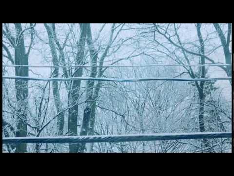 Memoryhouse - The Slideshow Effect (Full Album Stream)