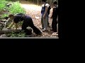 nous avons fais un entrainement physicque de mn au mont-royal