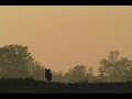 coyote close call hunting funny
