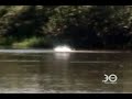ATAQUE DE PIRANHA