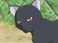 Hyuuga natsume AMV Hyuuga natsume AMV