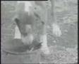 T.B.F. - Alles Gut