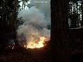 moonshine-bang-bang.html