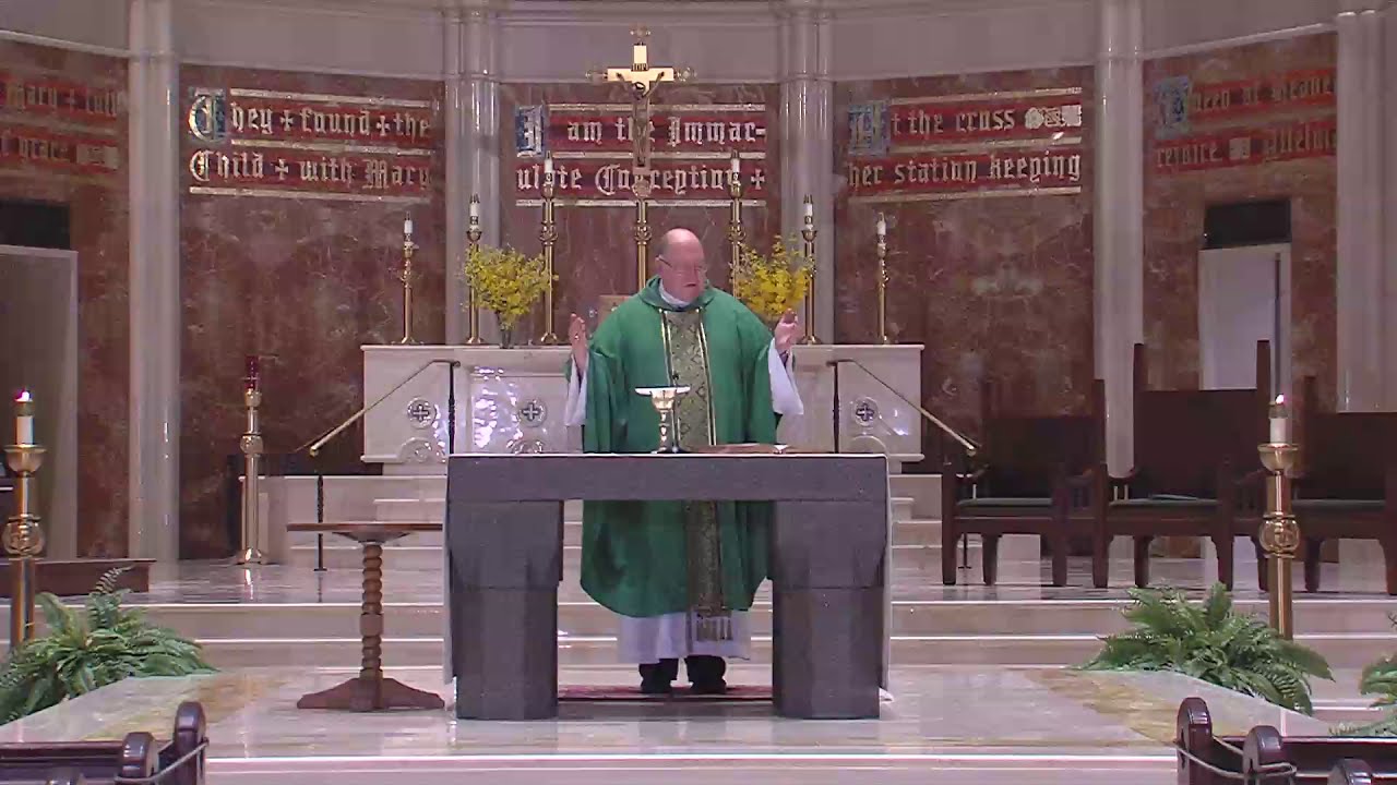 Catholic Sunday Mass 18th October 2020 Today Live Online - Livestream