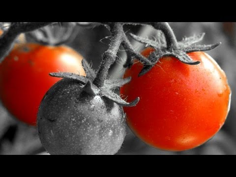 how to isolate one colour in photoshop