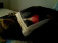 me n my doggy fightng each other me n my doggy fightng each other