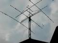 videos de Rondini su antenna