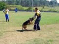 Treino de proteção Yacko von cap arkona