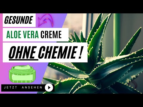 gesunde Aloe Vera Creme selber herstellen: mit Natursalzsole und ohne Chemie!