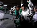Mancha Verde Fez a Festa no Mineirão Mancha Verde Fez a Festa no Mineirão