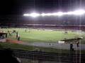 Mancha Verde Fez a Festa no Mineirão