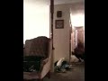 Kid spazzes out over fake piss but doesnt know it, not fake lol