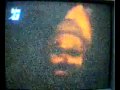 Penampakan Kepala Hantu Di Pokok