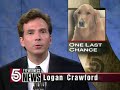 Logan Crawford FOX 5 Anchoring
