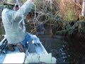 Catfish caught on Limb line